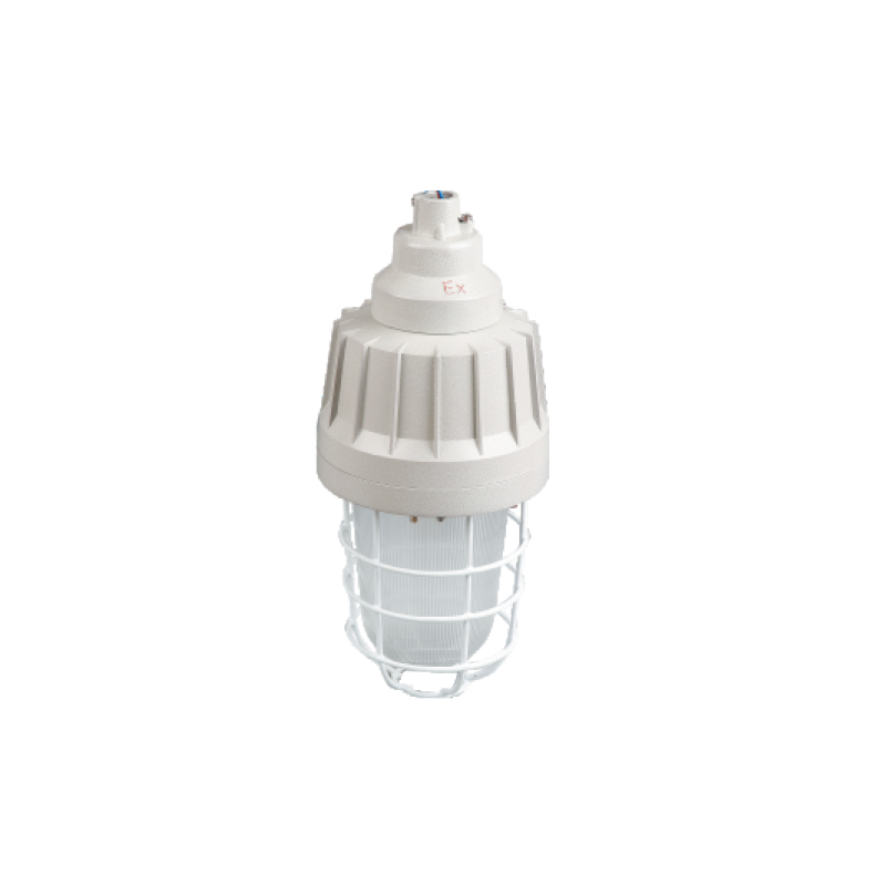 BAD61防爆照明燈（175W、lIC）