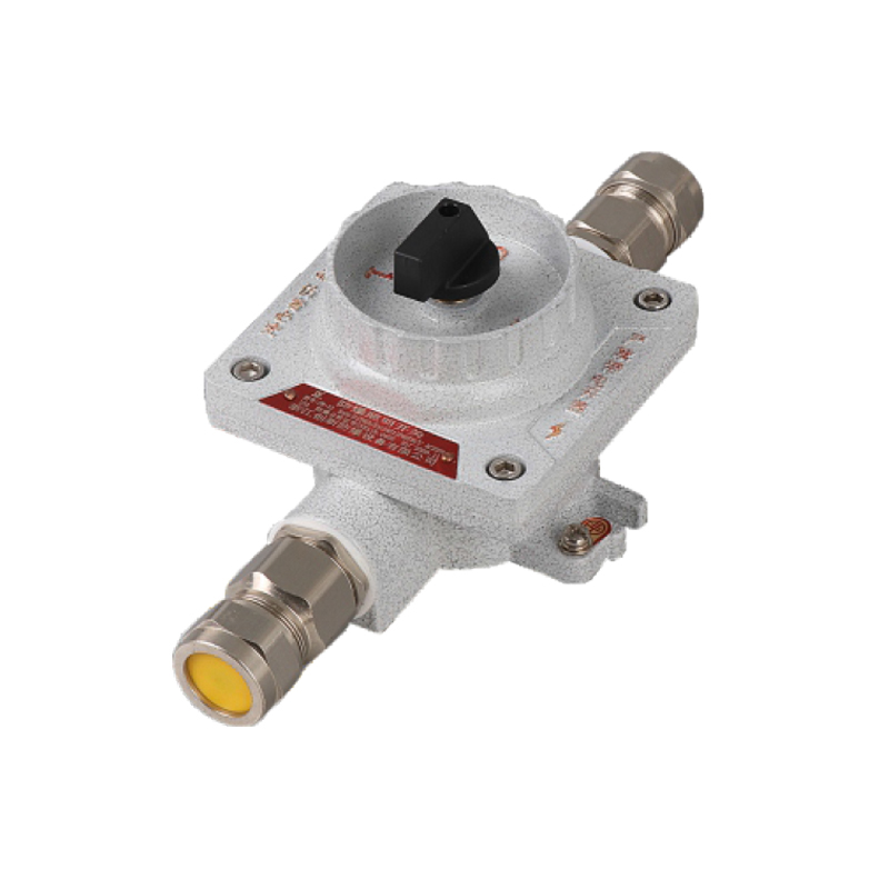 SW-16防爆照明開關(guān)（IIC/ExtD）