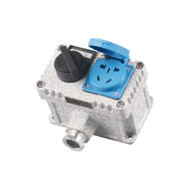 BQK三防墻壁（插座）開(kāi)關(guān)（ExtD）