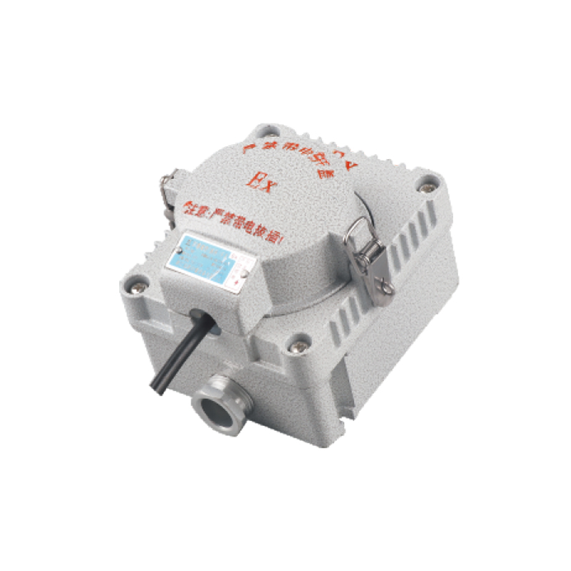 BQK防爆墻壁（插座）開關(guān)（ExtDA21）