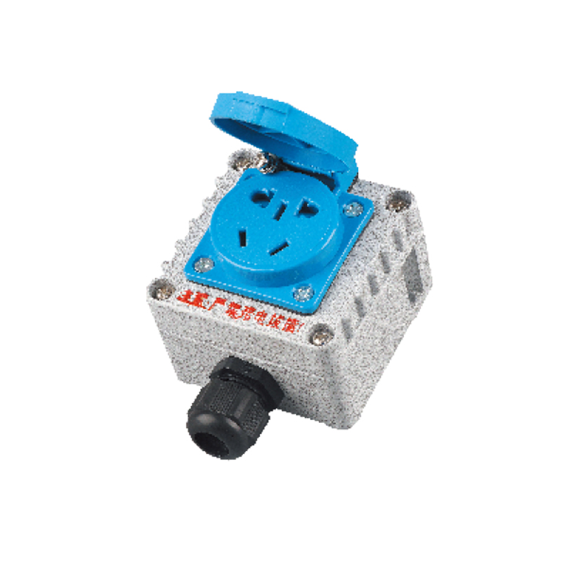 BQK三防墻壁（插座）開關(guān)（ExtD A21）