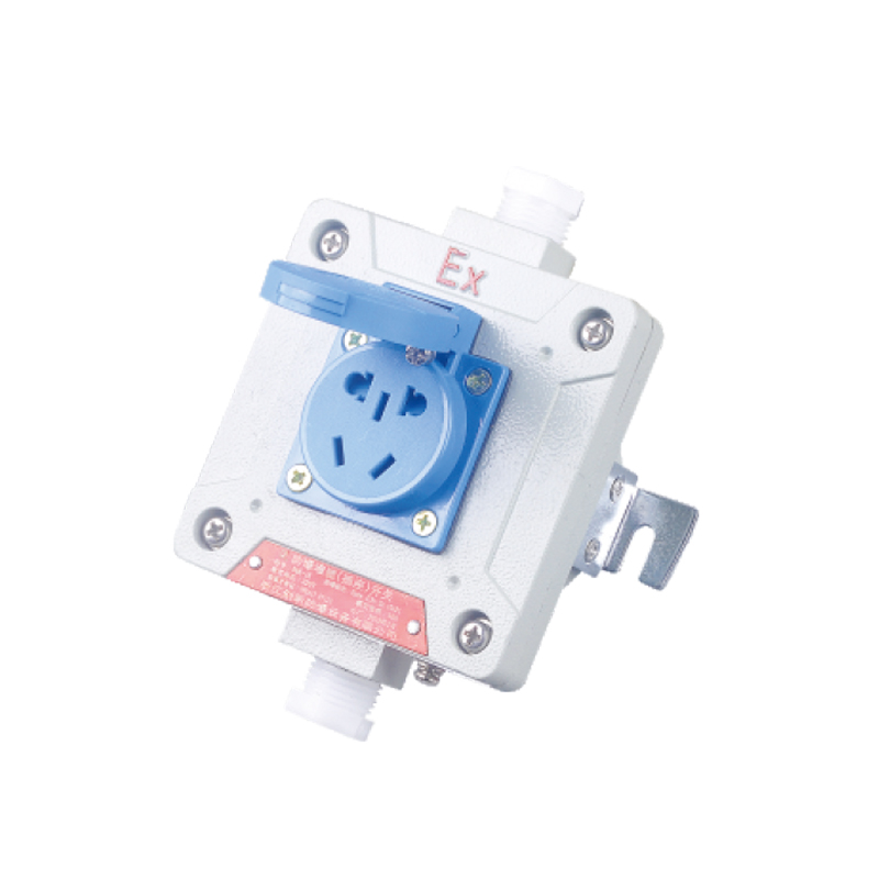 BQK粉塵墻壁（插座）開關(guān)（ExtD）