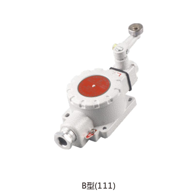 dLXK-5A防爆行程（腳踏）開關（llC、ExtD）